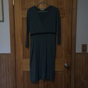 Women’s ibex merino wool hooded dress with pockets